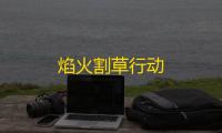 焰火割草行动